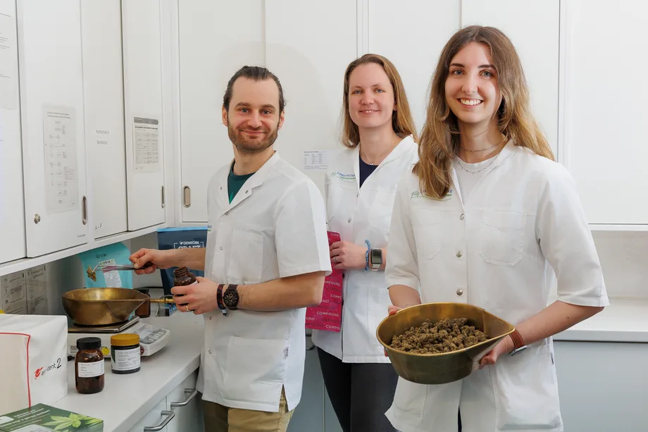 Herstellung von medizinischem Cannabis